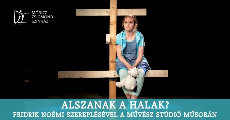 Kurázsi mama után Alszanak a halak a Móricz Zsigmond Színházban