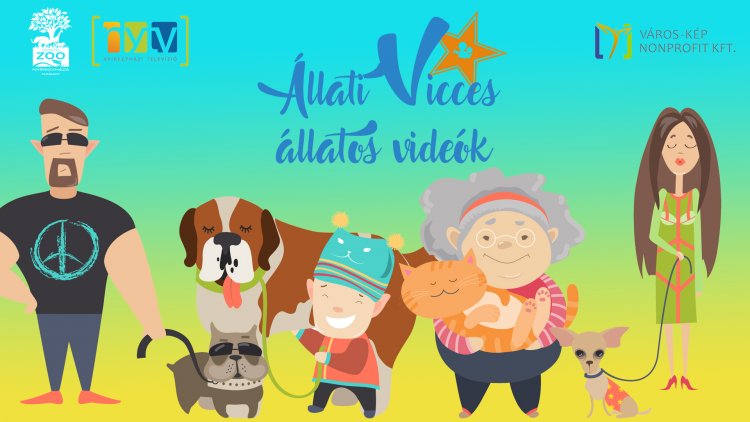 Állati Vicces Állatos Videók – Több százan neveztek a videópályázatra, több mint hatvan nyertest hirdettek!