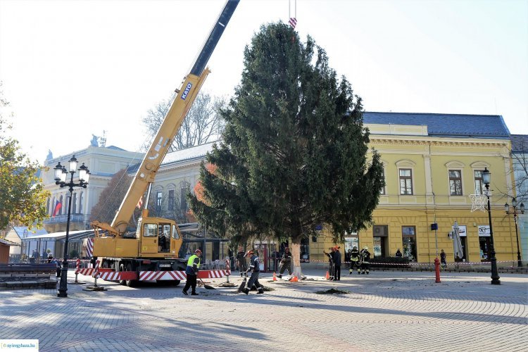  Hírösszefoglaló: újabb nemzetközi projekt, béremelés, karácsonyfa, felüljáró-, és rekortán felújítás