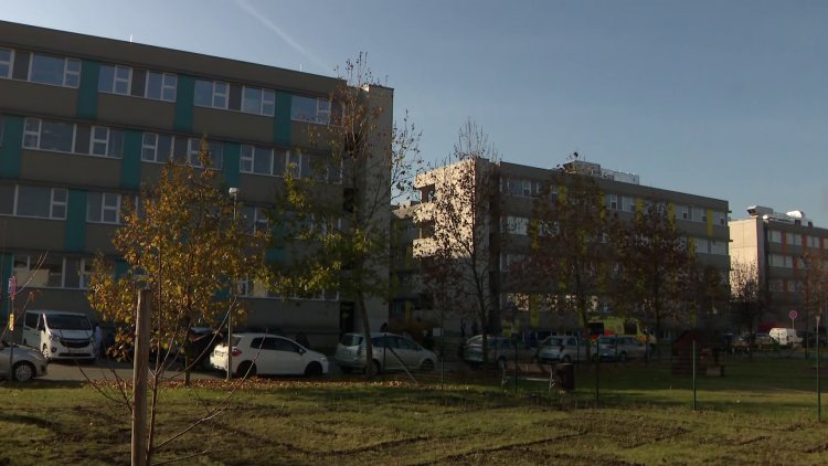 Sövénylabirintus a kórház udvarán – 750 darab palántát ültettek el a játszótér mellett