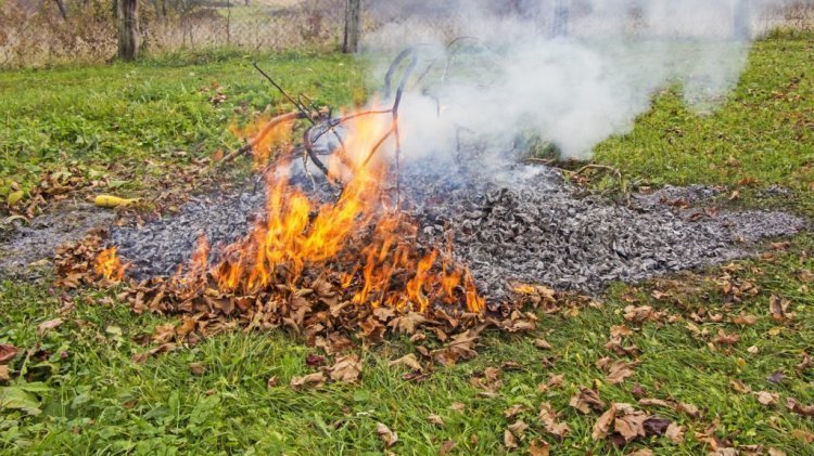 Gyermekek védelme a levegőtisztaság javításával - Avagy: tudjuk, de mégsem tesszük?                        