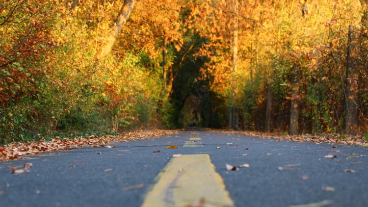 Lesz itt minden – Trükkös időjárással búcsúzik a november