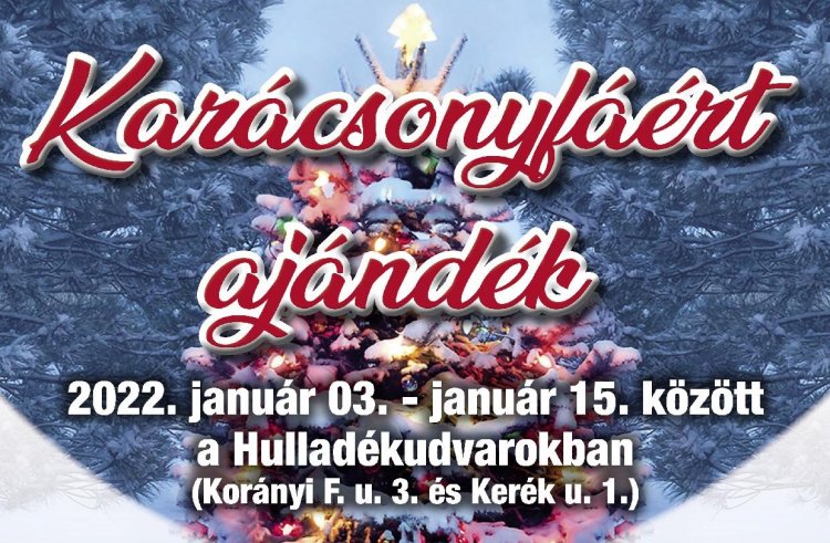 Karácsonyfáért ajándék
