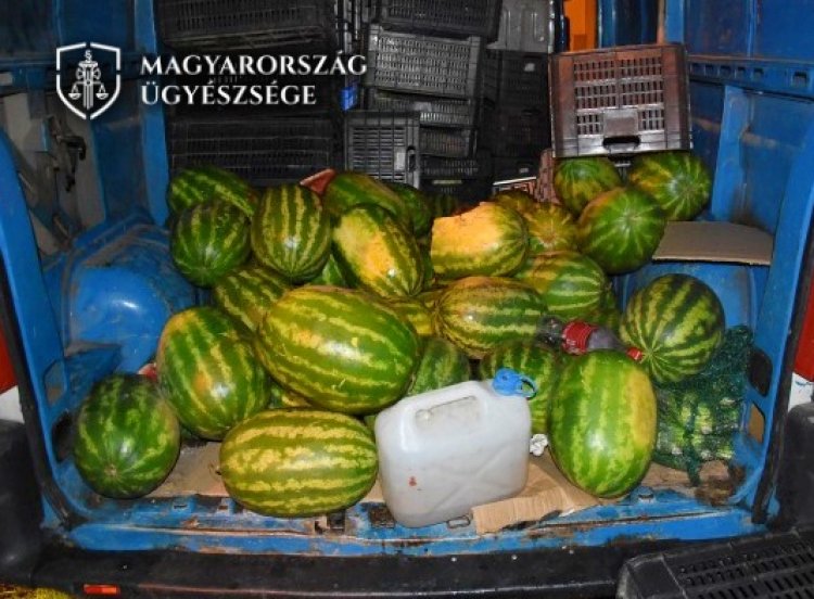 Szabolcs-Szatmár-Bereg Megyei Főügyészség: dinnyéket dobált