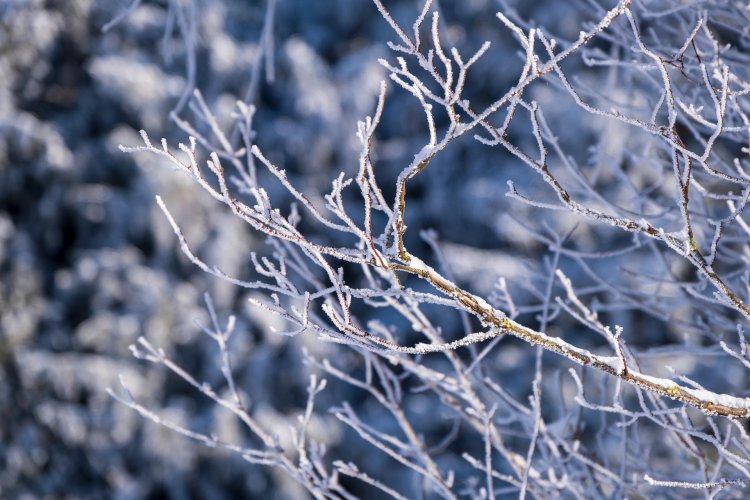 Farkasordító hideg lesz, akár -19 fokig is csökkenhet a hőmérséklet