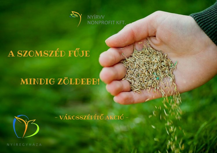 A szomszéd fűje mindig zöldebb! – Városszépítő akció Nyíregyházán