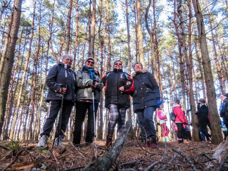 Zöld Kerék Alapítvány: túracipő és farsangi jelmez, helyben járás a vidámság jegyében