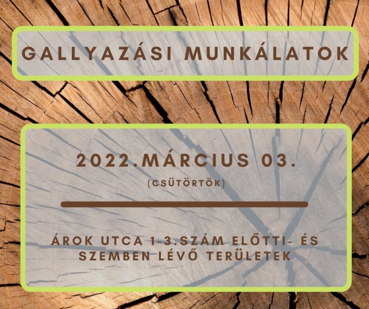 Gallyazási munkálatokat végez a NYÍRVV március 3-án az Árok utcán