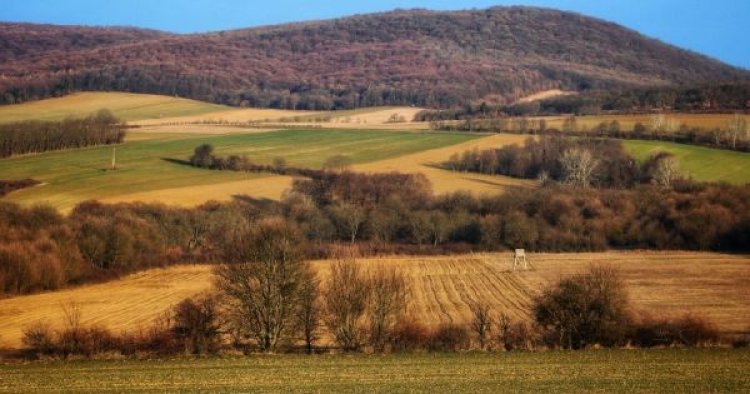  Klasszikus, tavaszias napunk lesz
