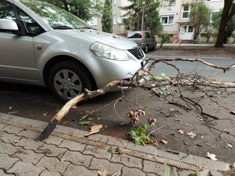 Az erős szél letört egy faágat, ami ráesett egy parkoló autóra a Vasvári Pál utcán