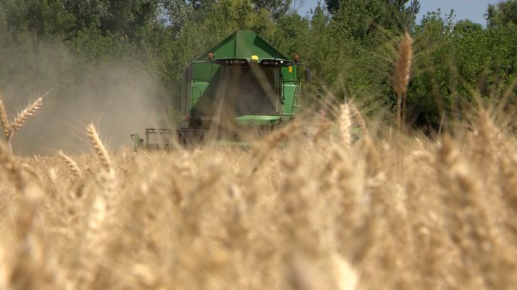 Segítség a gazdáknak – Történelmi szárazsággal néz szembe Magyarország