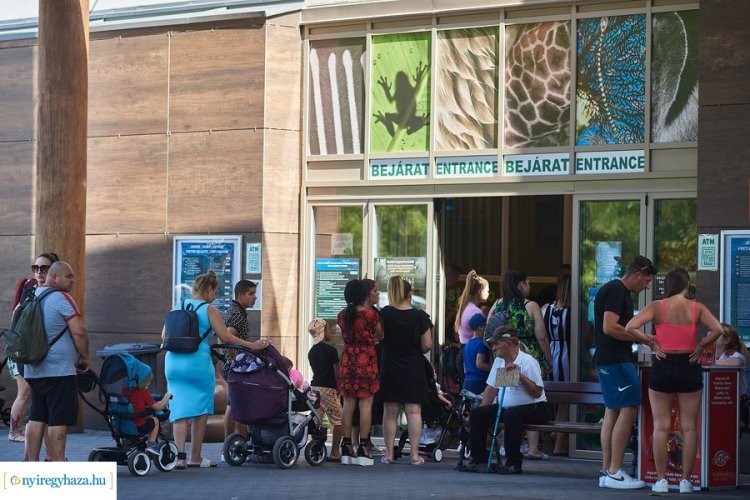 Csaknem ötszázötvenezer látogató járt idén a Nyíregyházi Állatparkban