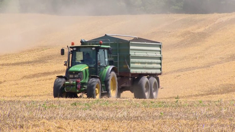 Kárt okozhat az enyhe idő – A mezőgazdaság nagyon várja a hideg, téli időjárást