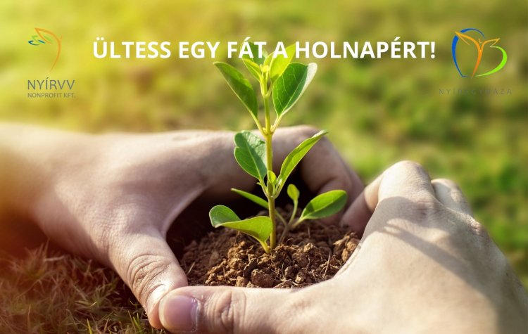 Ültess egy fát a holnapért! – Városszépítő akció Nyíregyházán