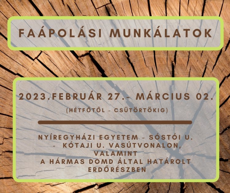 Február 27. és március 2. között faápolási munkálatokat végez a NYÍRVV Nonprofit Kft.