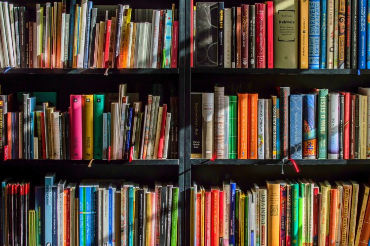 A Magyar Könyvtárosok Egyesületének megyei szervezete idén is meghirdeti a könyvtárosi kitüntetéseit