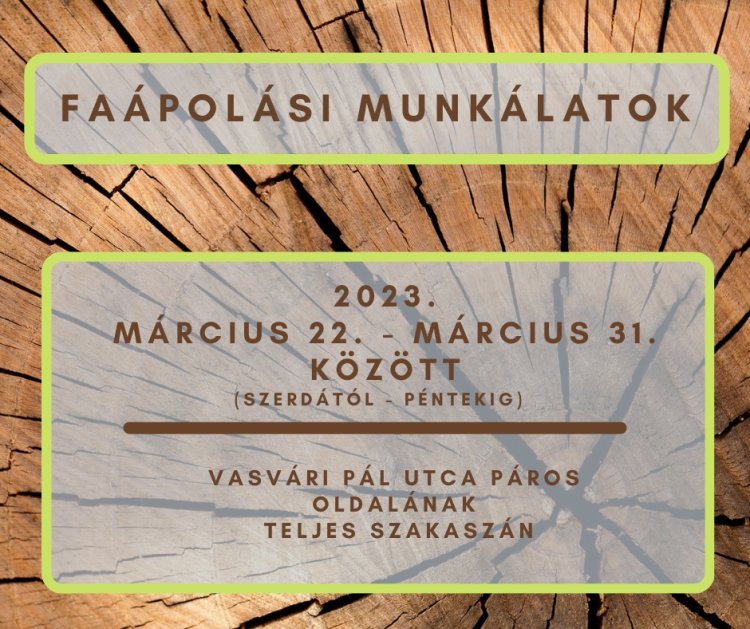 Faápolási munkálatok a Vasvári Pál utca páros oldalának teljes szakaszán