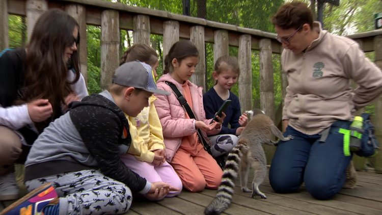 Valóra vált álmok – Kárpátaljai gyerekek kirándultak a Nyíregyházi Állatparkban