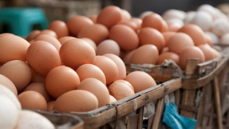 Tojásstop - A NAV munkatársai útját állták a közel 20 ezer koszos, penészes, jelöletlen tojással megrakott szállítmánynak