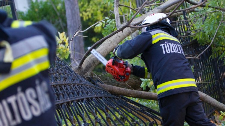 Tegnap több sérült fa miatt vonultak a szabolcs-szatmár-beregi tűzoltók