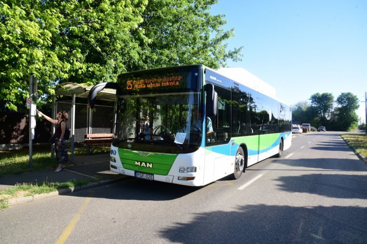 Nyári buszközlekedés Nyíregyházán – Új járatok, gyakoribb indulások, éjszakai közlekedés