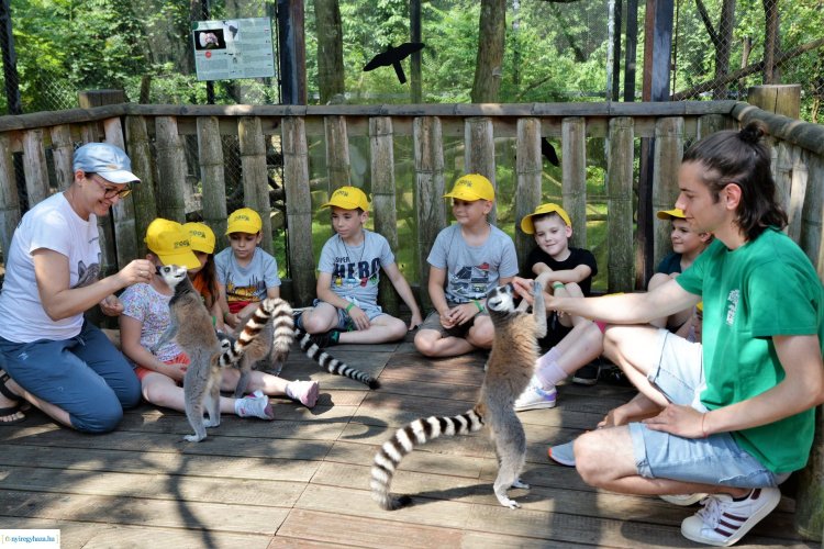 ZOO-Suli – Megérkeztek az idei első táborozók a Nyíregyházi Állatparkba