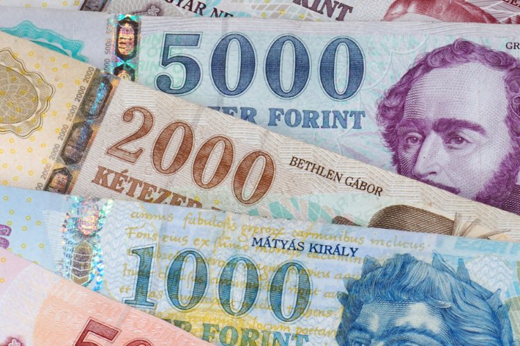 A magyarok fele takarékoskodik rendszeresen