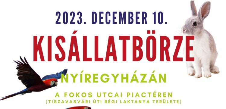 December 10-én újra Kisállatbörze lesz a Fokos utcai piacon!