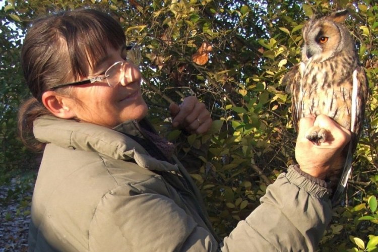 Rangos elismerésben részesült a Nyíregyházi Erdészet munkatársa