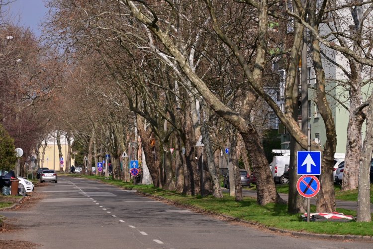 Jó ütemben halad az Ószőlő, Fürdő és Berenát utca felújítása