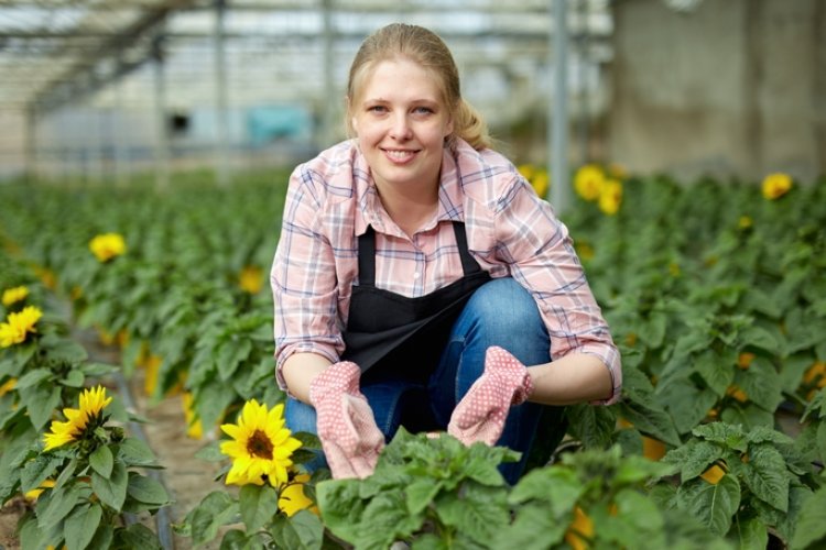 Az Északi Agrárszakképzési Centrum hat intézményében fejleszették a bemutató üzemeket