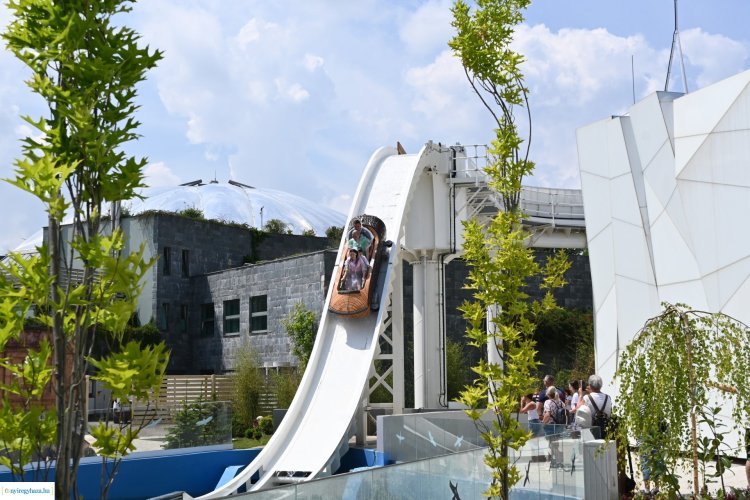 Vasárnap véget ért a szünidő, sok család a Nyíregyházi Állatparkban zárta a nyarat