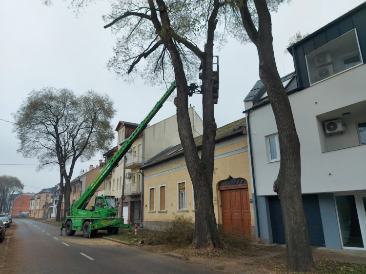Sokan lélegzetek ma fel a Selyem utcában - Megszűnt a forgalomkorlátozás, kész a faápolás