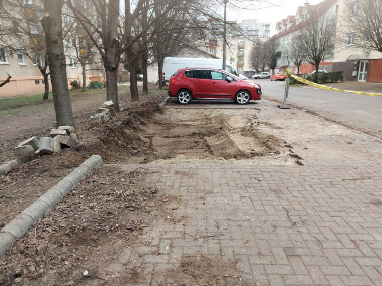 Nem volt mit tenni, de vigyáztak a fákra                               