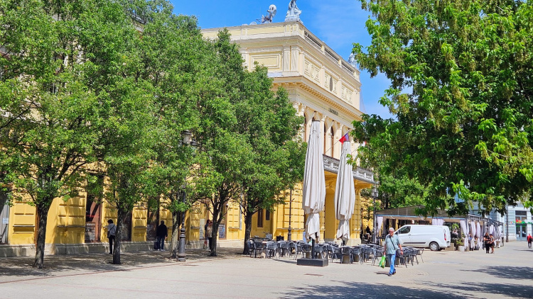Projektmenedzsert keres a nyíregyházi polgármesteri hivatal