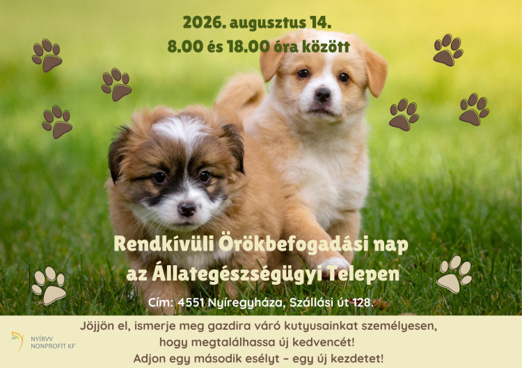 Egy hűséges társ várhat Önre – Rendkívüli örökbefogadási napot tartanak Nyíregyházán