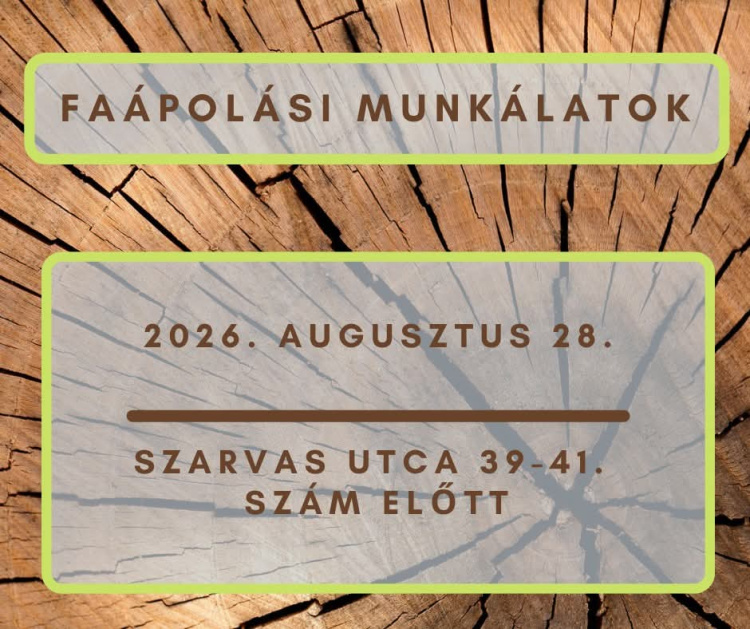 Faápolási munkálatokat végeznek a Szarvas utcán