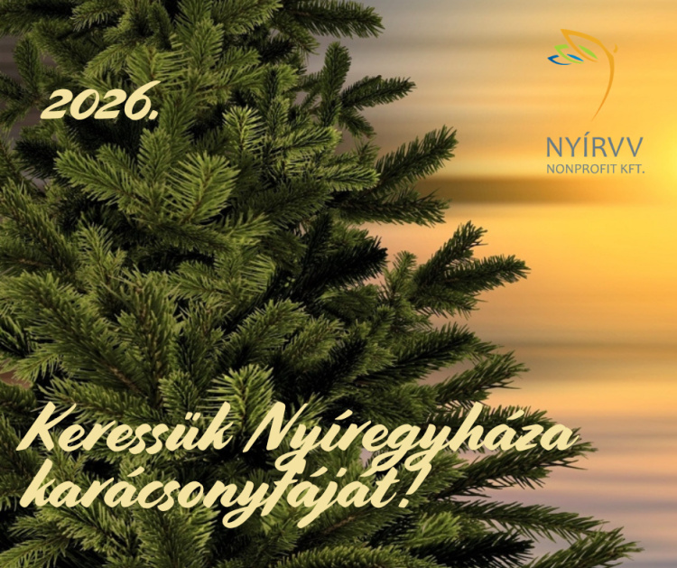 Már keresik Nyíregyháza karácsonyfáját – Idén akár az Ön fenyője is díszítheti a Kossuth teret