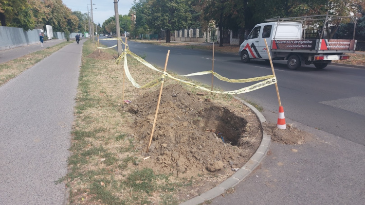 A közvilágítási oszlopok hibáit javítják a Sóstói úton