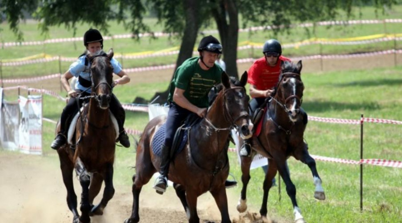Dögén rendezik meg a Nyírségi Vágtát