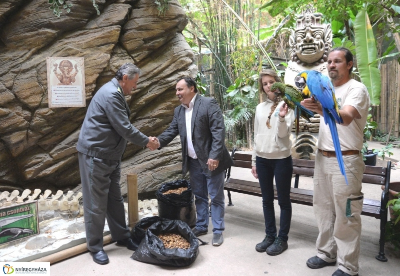 Dióbelet kaptak a Nyíregyházi Állatpark lakói