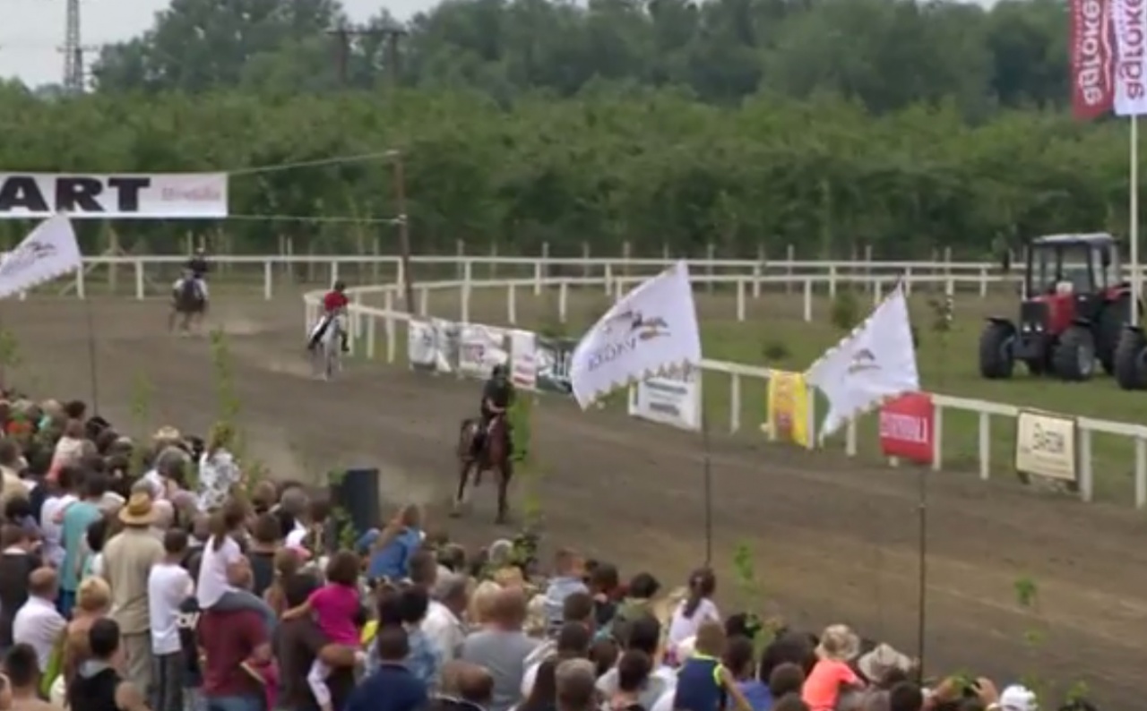 Fergeteges lovas futam Dögén