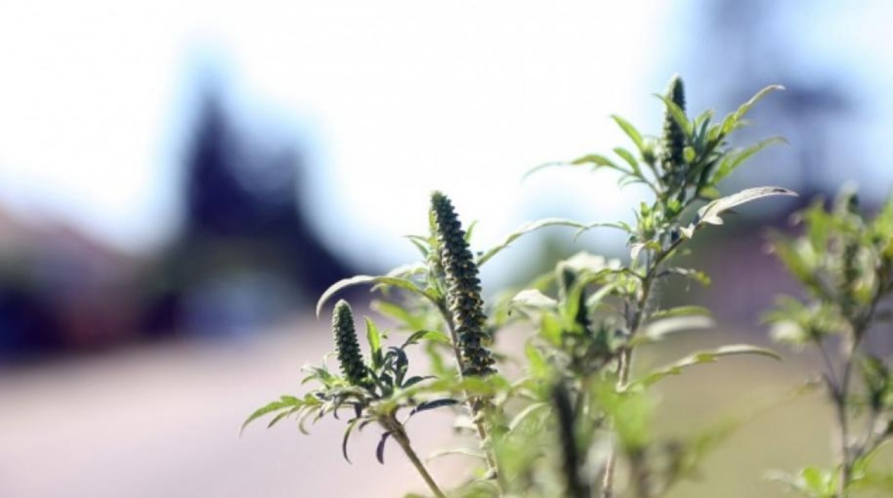 Lejárt a türelem – Jön a kas(s)zás