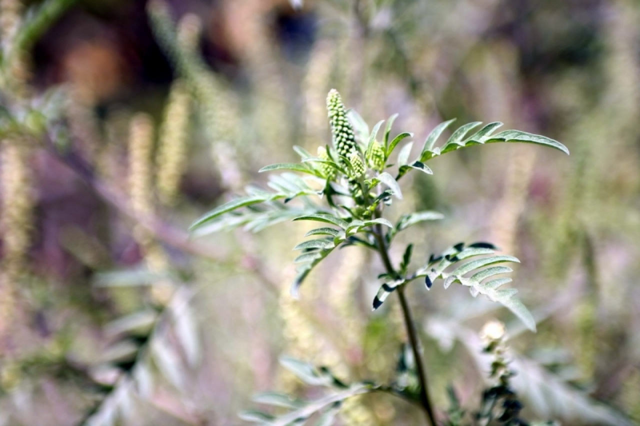 Lejárt a türelem: Jön a ka(s)szás