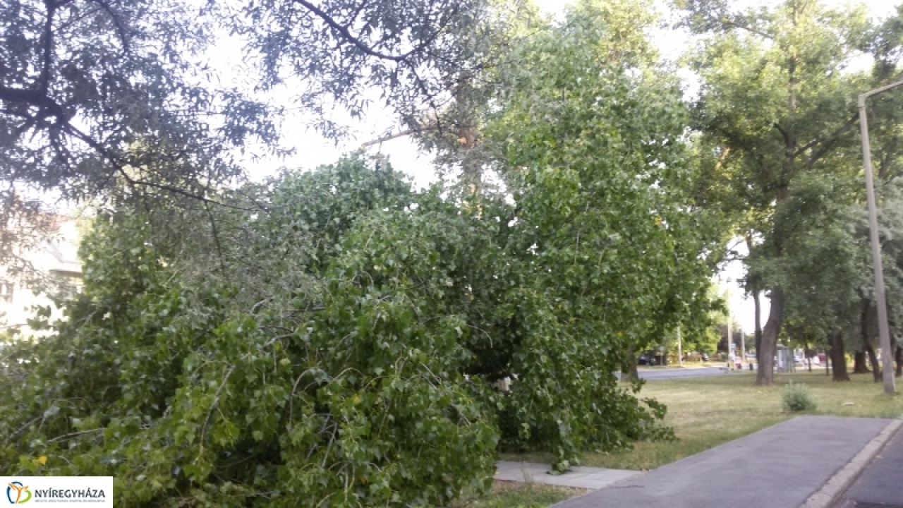 Kisebb károkat okozott a szerda este átvonuló vihar