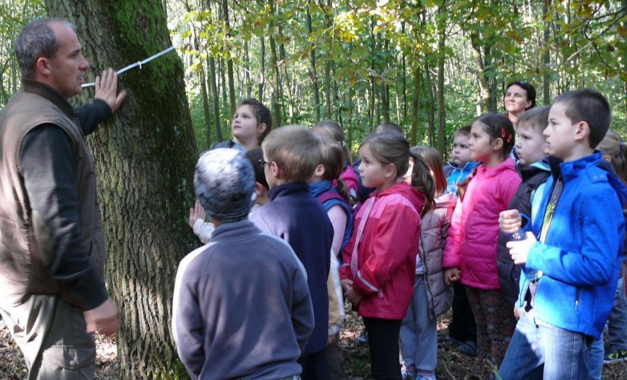 Az erdőgazdálkodással ismerkedtek a nyíregyházi gyerekek