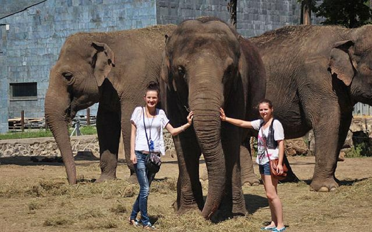 Román sajtó: A Sóstó Zoo az állatbarátok paradicsoma