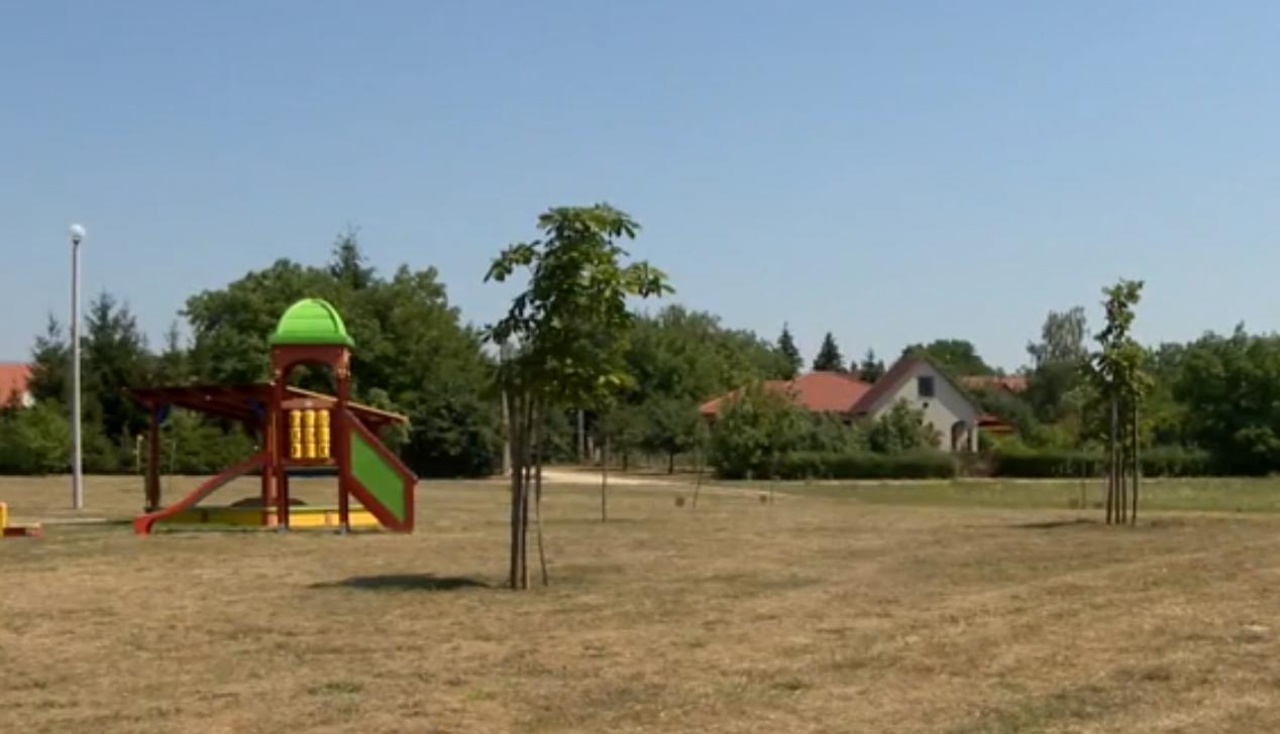 Újéletfa-liget Nyíregyházán