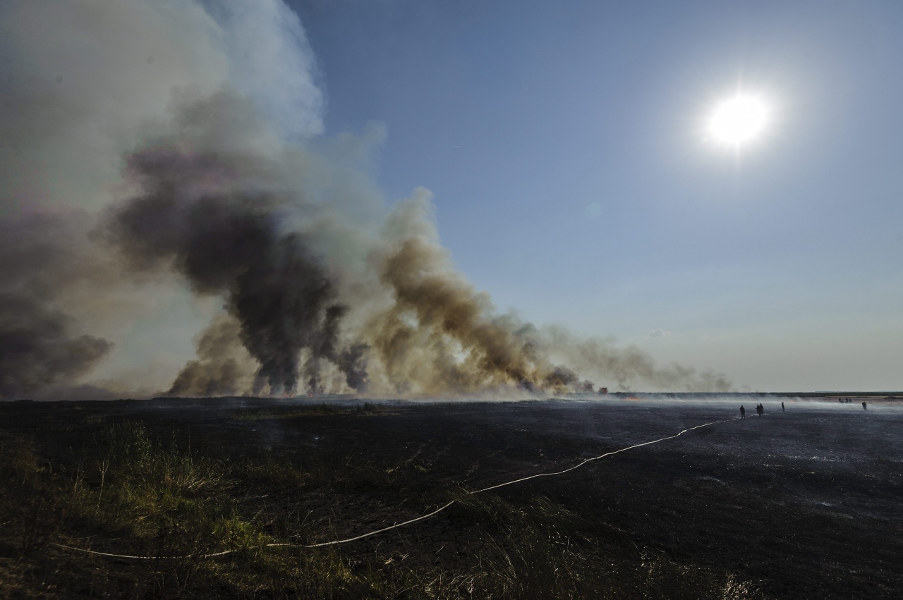 Füstszag van, oka nincs – Szagolunk tovább
