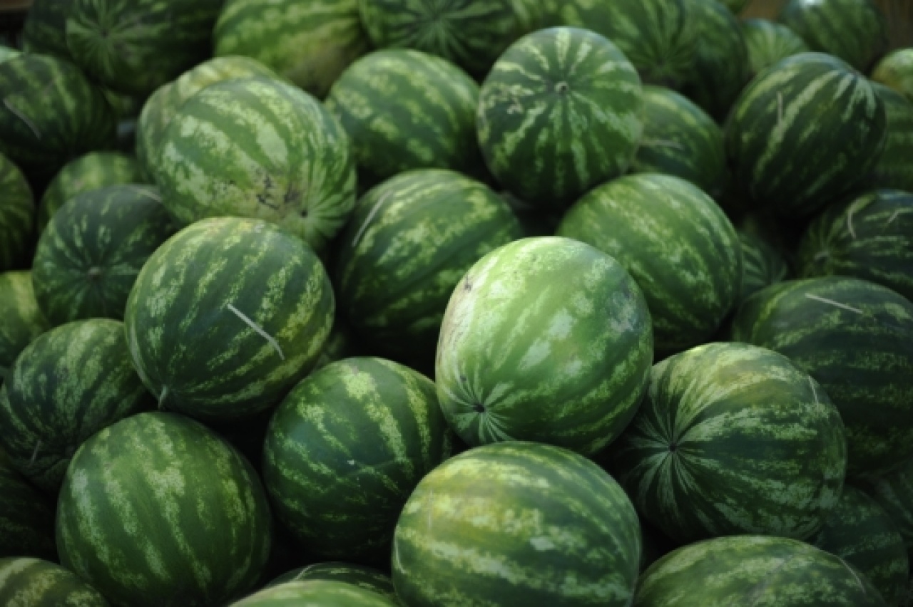 Lassan búcsúzik a csíkos